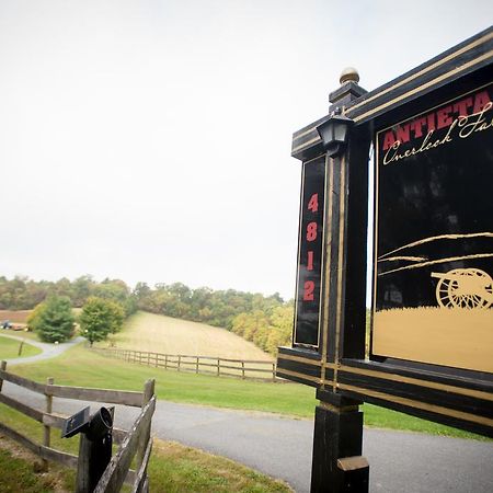 Antietam Overlook Farm Rohrersville Eksteriør billede